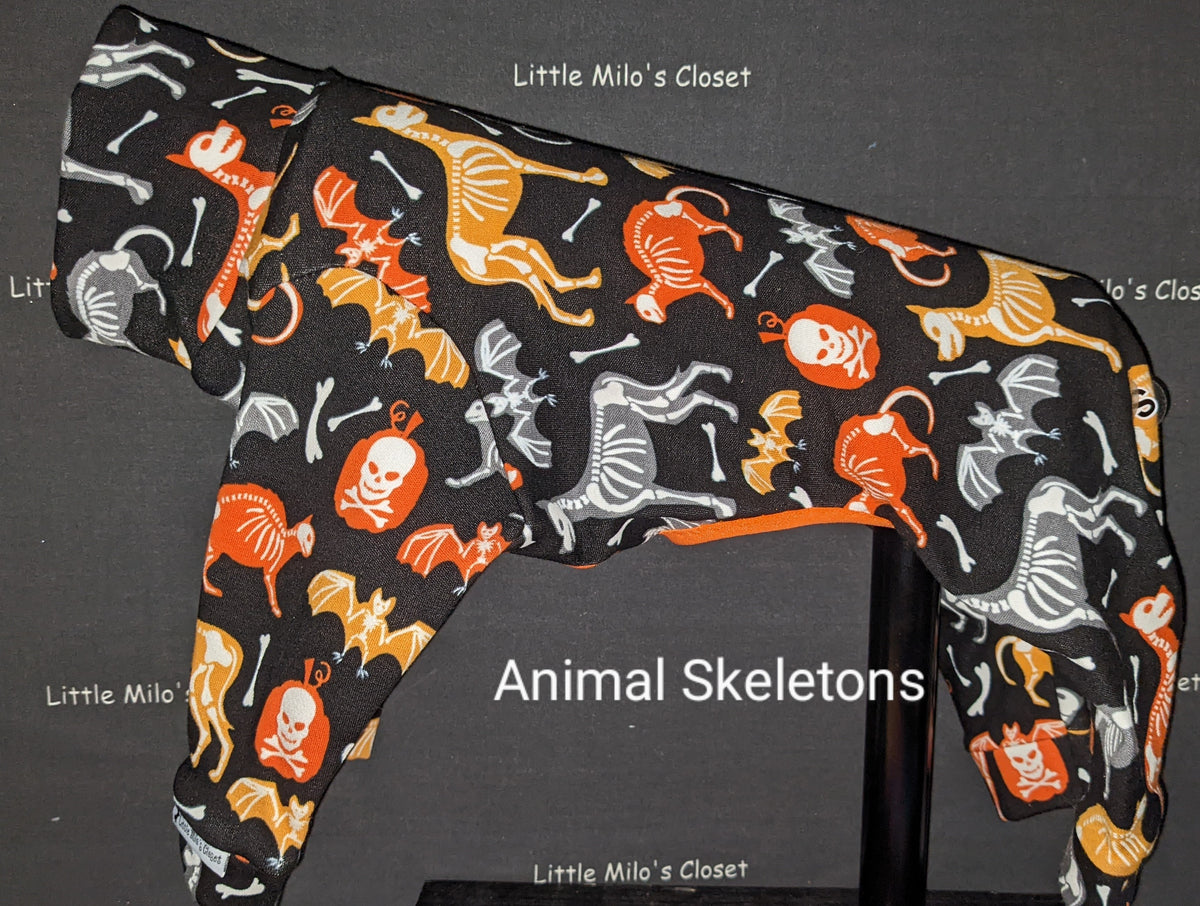 Animal Skeletons Halloween bodysuit for Italian Greyhounds, black with orange and white skeletons and bats