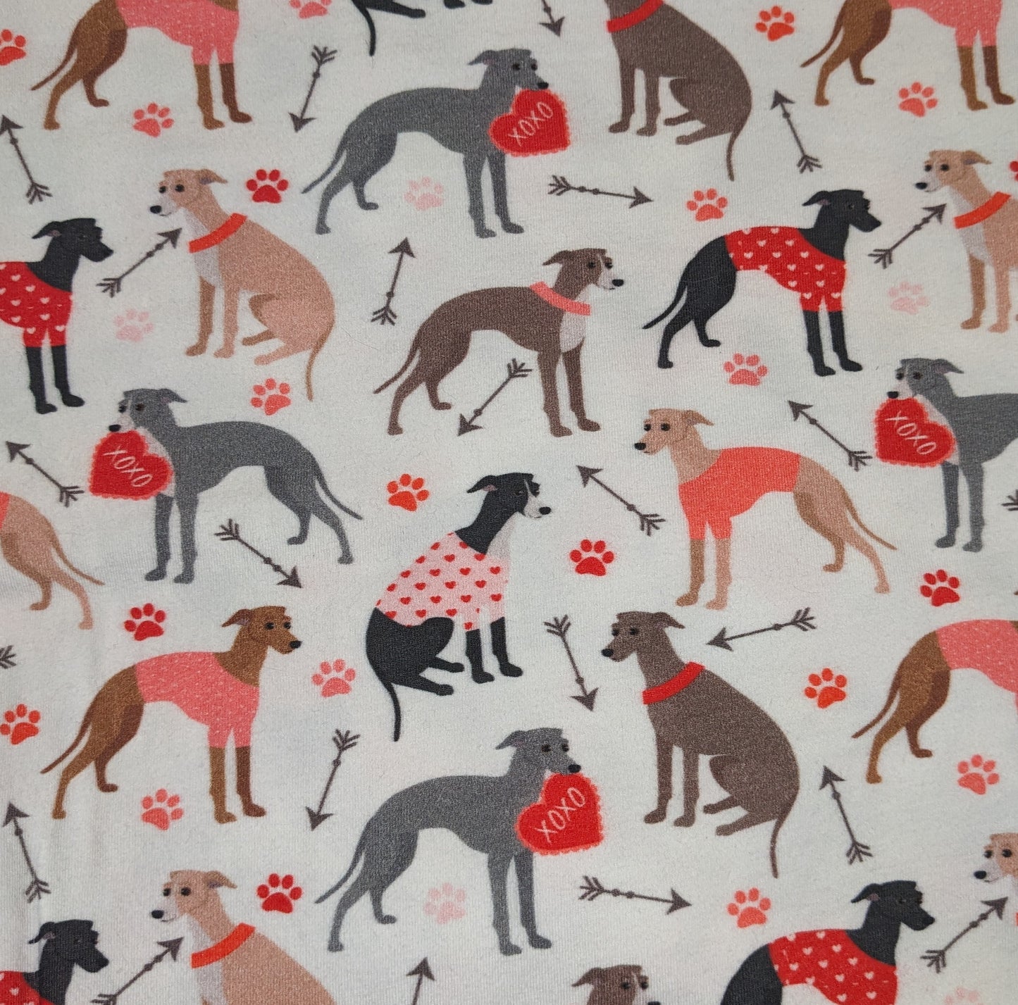 Custom Valentine Vests, Shirts, & Bodysuits For Iggys & Small Pups