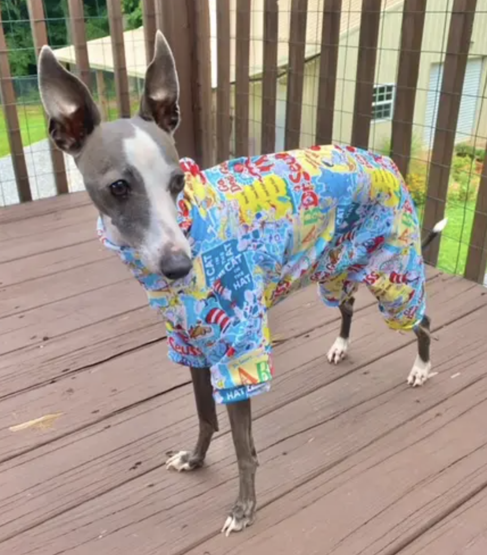 Custom UV Surgical Recovery Suit