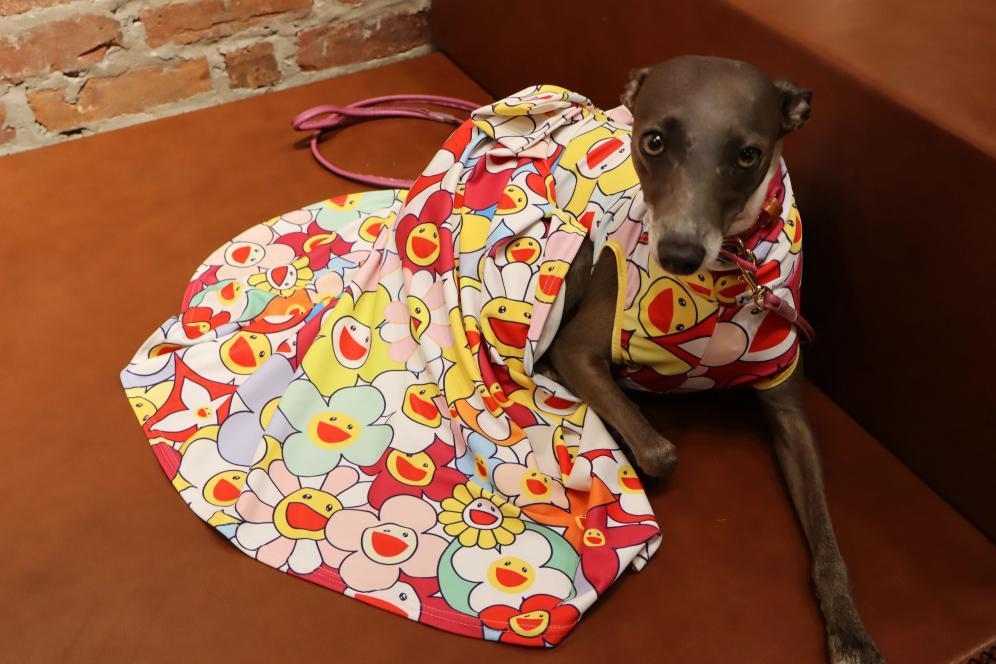 Custom Convertible Dress For Iggy - Little Milo's Closet