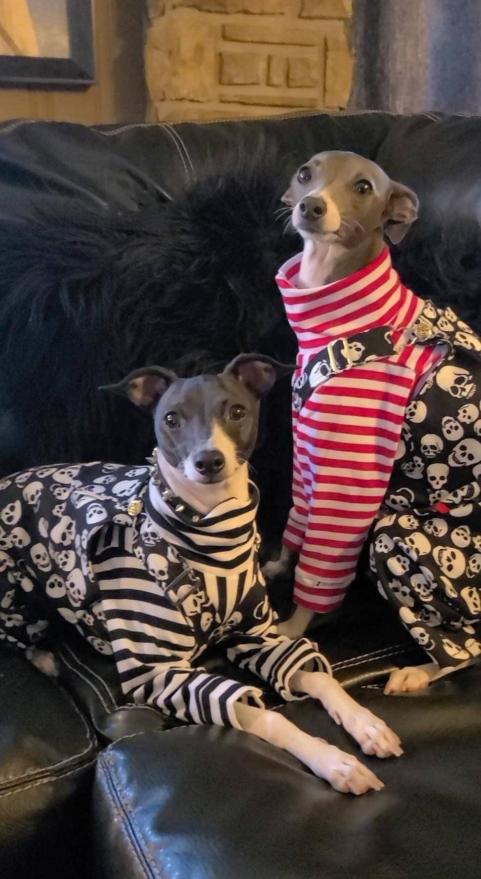 Custom Denim Overalls For Iggys & Small Pups - Little Milo's Closet