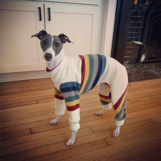Custom Heavy Weight Luxury Fleece Bodysuit - Little Milo's Closet
