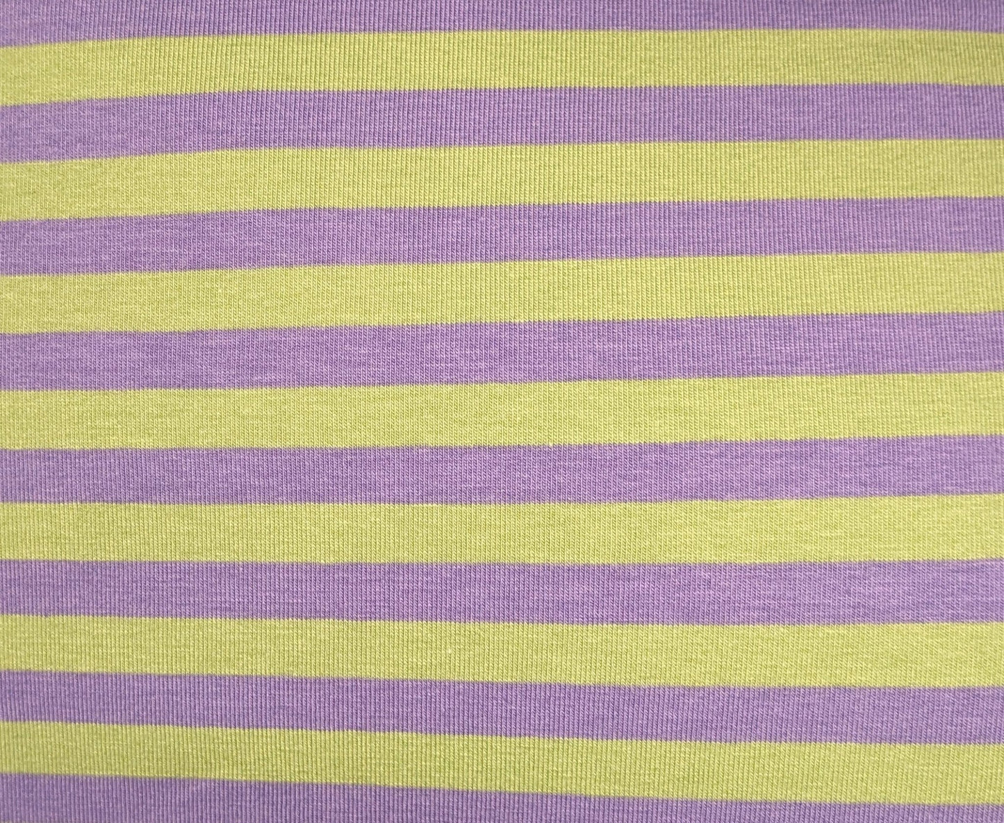 Custom Iggy Long Sleeved Striped 2 Legged Tops - Little Milo's Closet
