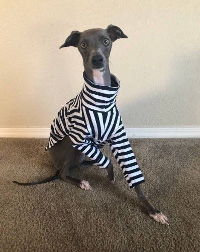 Custom Iggy Long Sleeved Striped 2 Legged Tops - Little Milo's Closet