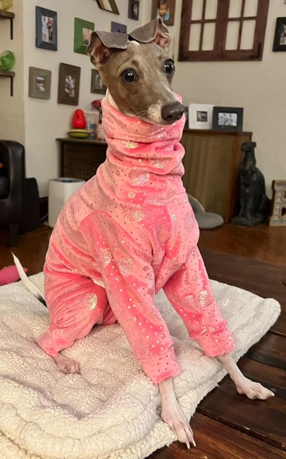 Custom Iggy Microfleece Soft Bodysuits - Little Milo's Closet