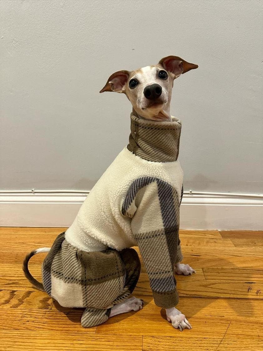 Custom Iggy Sherpa and Fleece Skirted Bodysuit - Little Milo's Closet