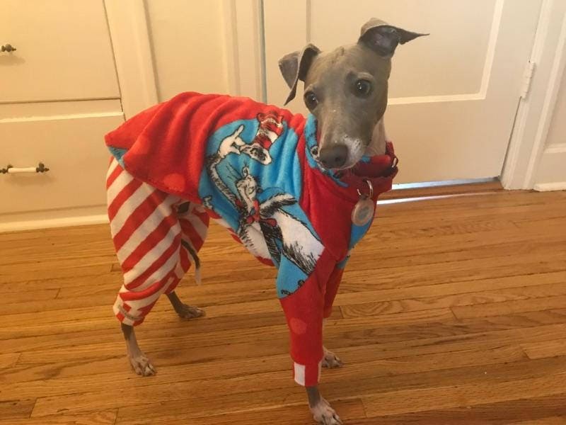 Custom Italian Greyhound Cotton Knit & Fleece Long Sleeve Top - Little Milo's Closet