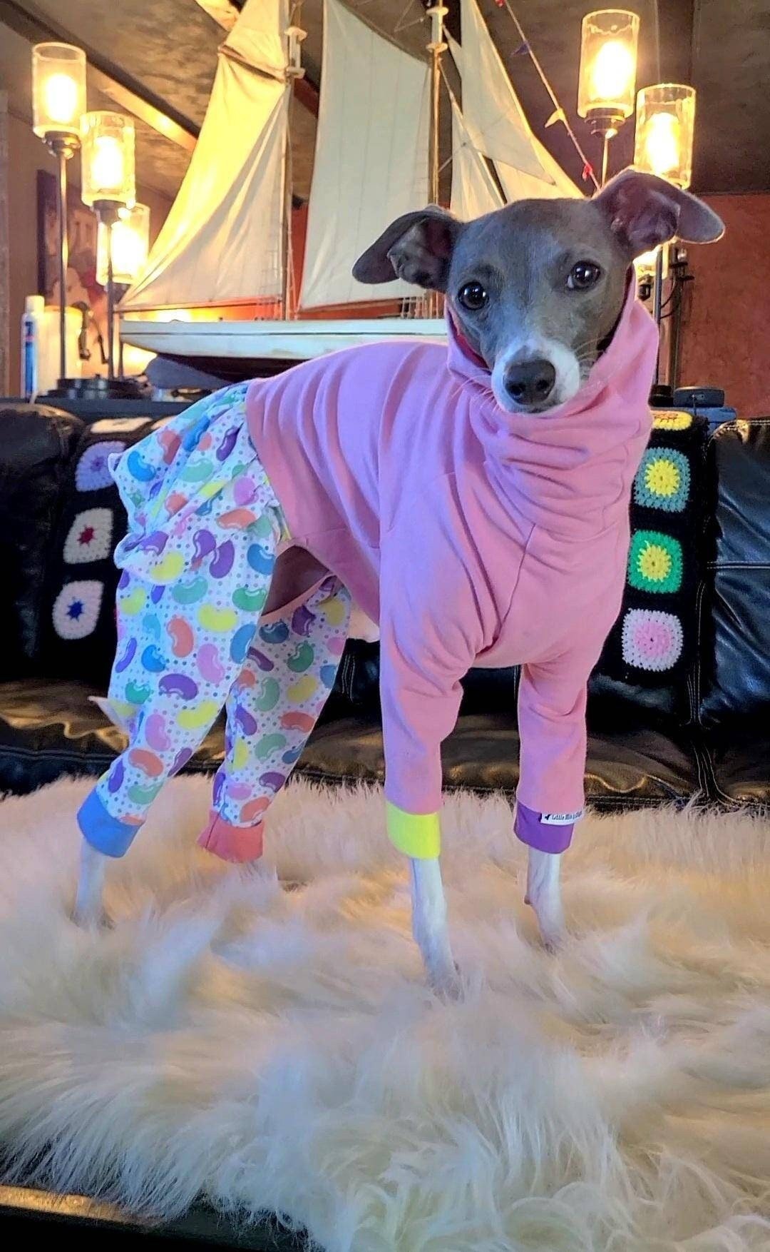 Custom Italian Greyhound Cotton Knit Skirted Onesie Bodysuit - Little Milo's Closet