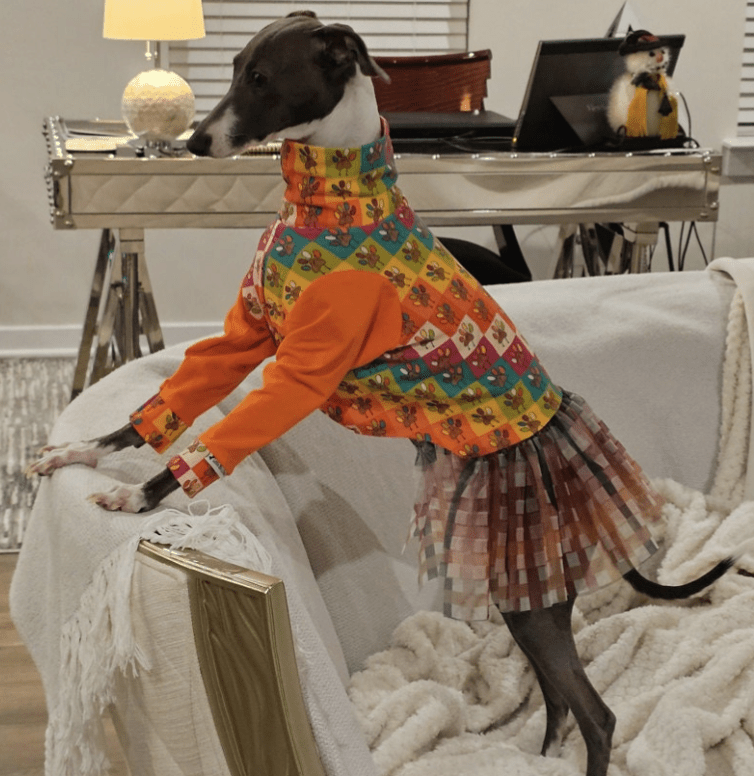 Custom Limited Edition Tulle Skirted Dresses - Little Milo's Closet