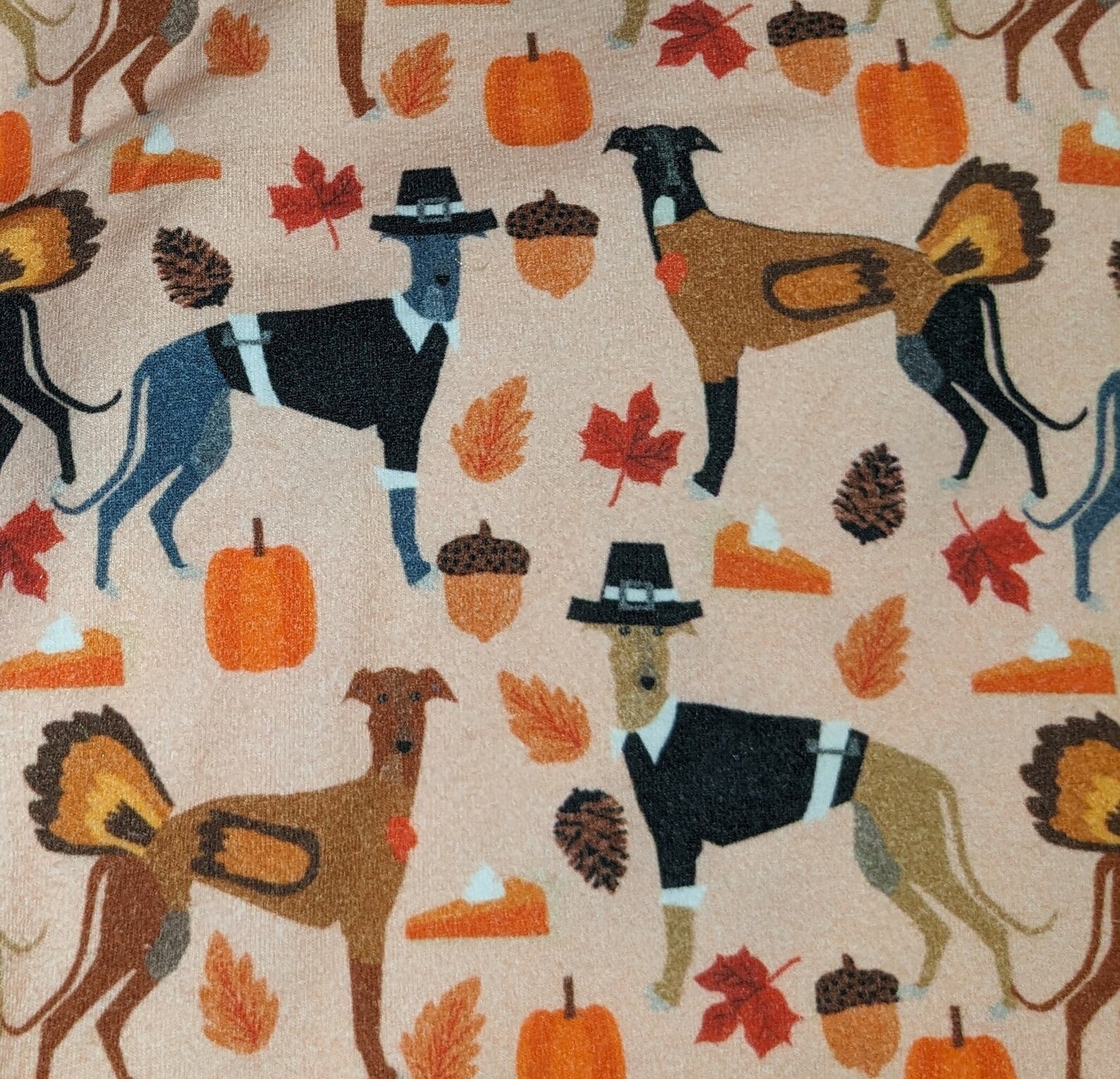 Custom Thanksgiving Italian Greyhound & Min Pin 2 Legged Tops