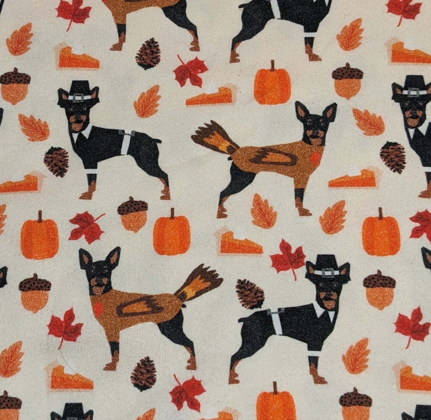 Custom Thanksgiving Italian Greyhound & Min Pin 2 Legged Tops