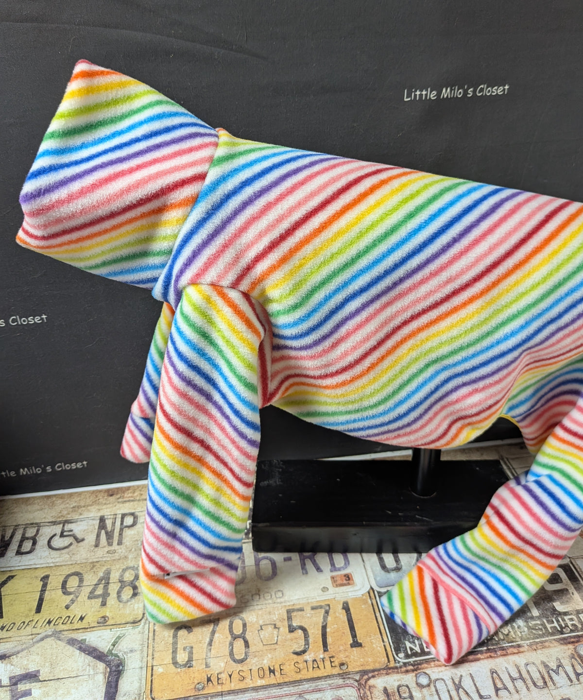 Fleece bodysuit with thin rainbow stripes on white, side view on an Italian Greyhound dog form