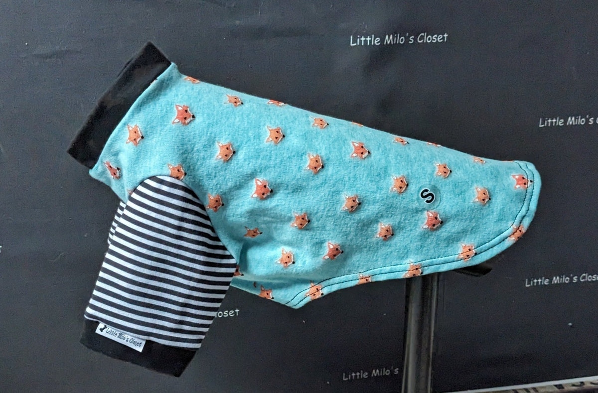 Fox Faces short sleeve Italian Greyhound top, aqua with fox print and black and white striped sleeves