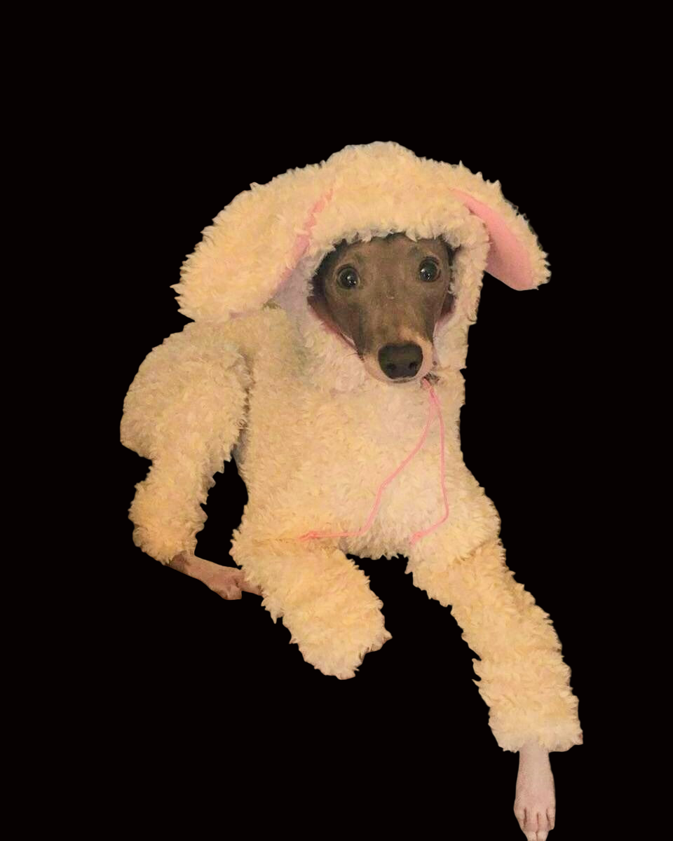 Custom Hooded or Snooded Sherpa Bodysuit