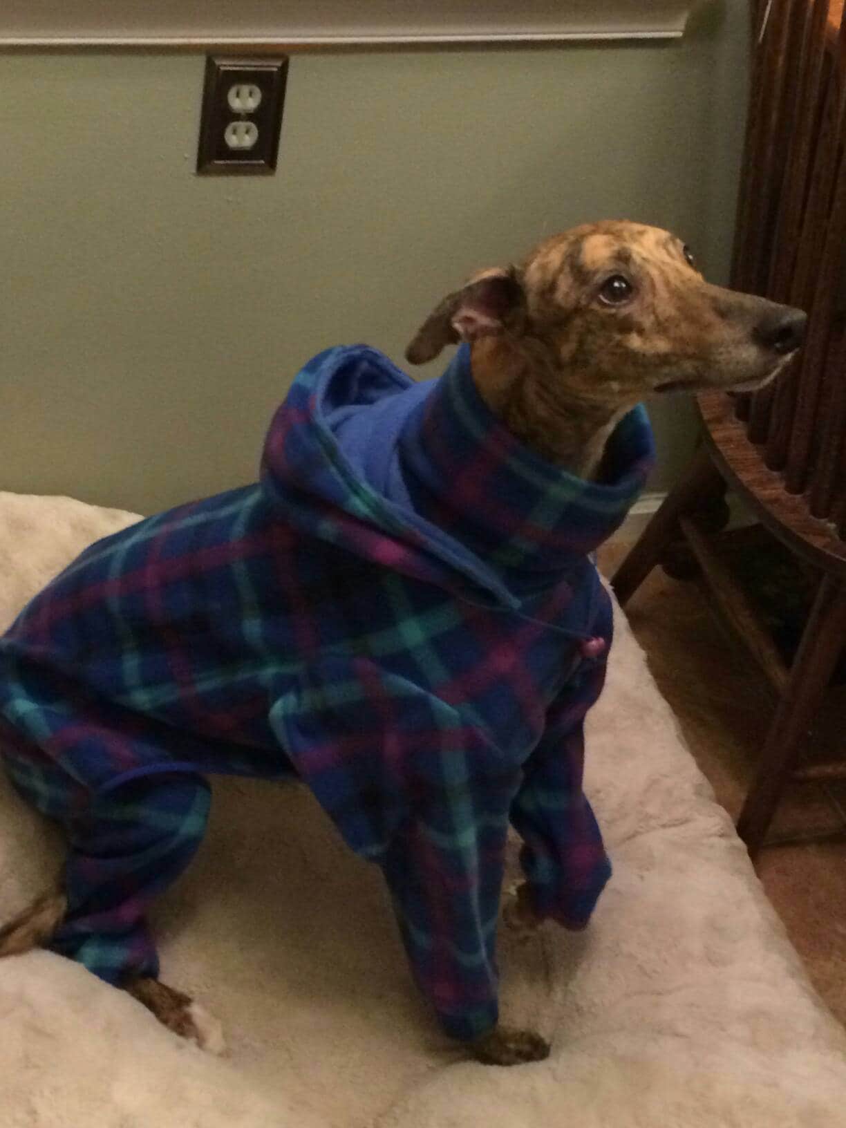 Custom Whippet & Greyhound Fleece Bodysuits - Little Milo's Closet