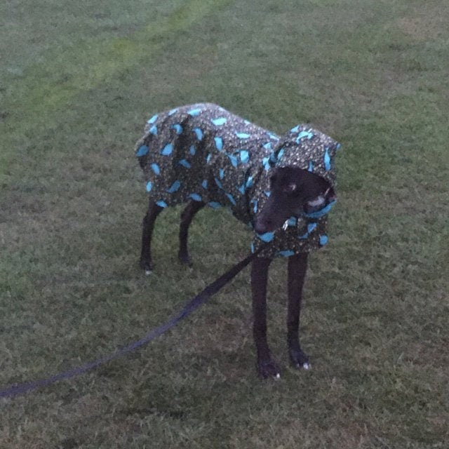 Custom Whippet and Greyhound Blanket Style Raincoat