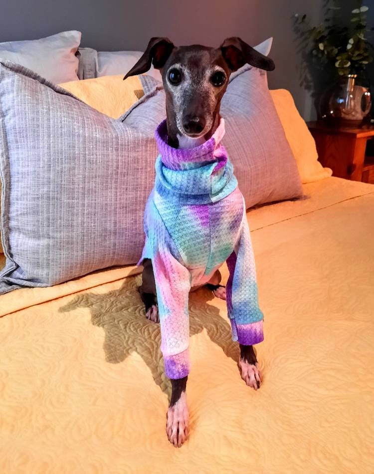 Waffle Weave Italian Greyhound Tops, Tie Dyed Waffle Weave, Bright Iggy tops. Soft Snooded Waffle Tops - Little Milo's Closet