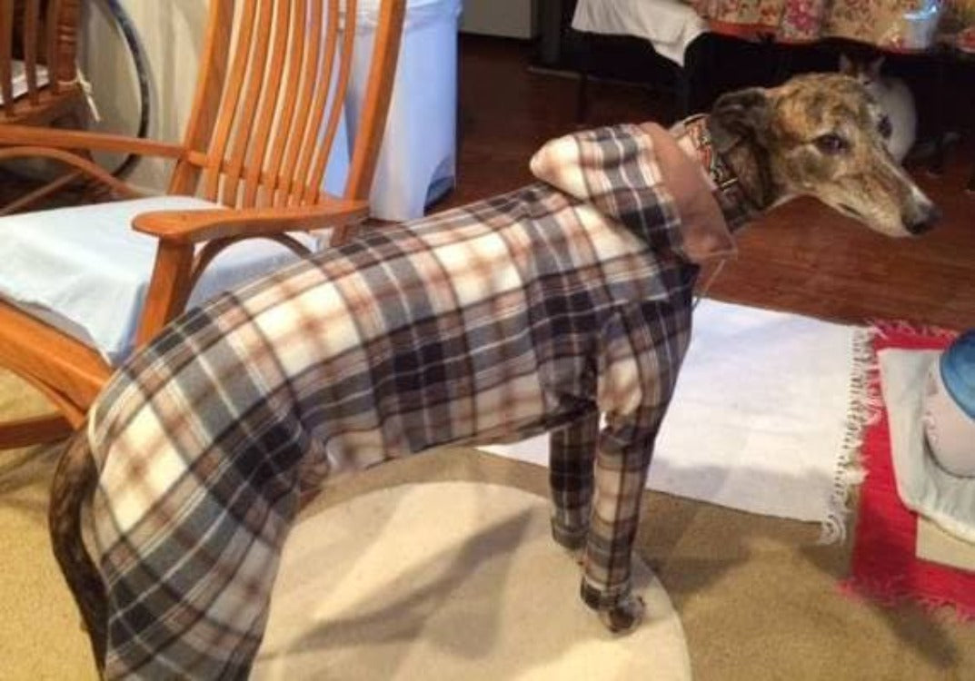 Custom Whippet & Greyhound Fleece Bodysuits - Little Milo's Closet