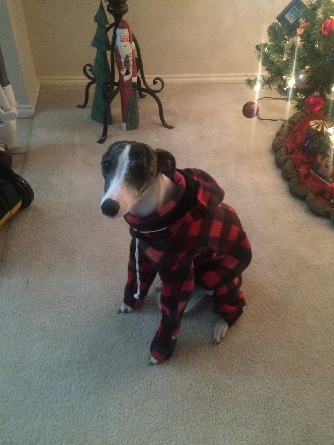 Custom Whippet & Greyhound Fleece Bodysuits - Little Milo's Closet