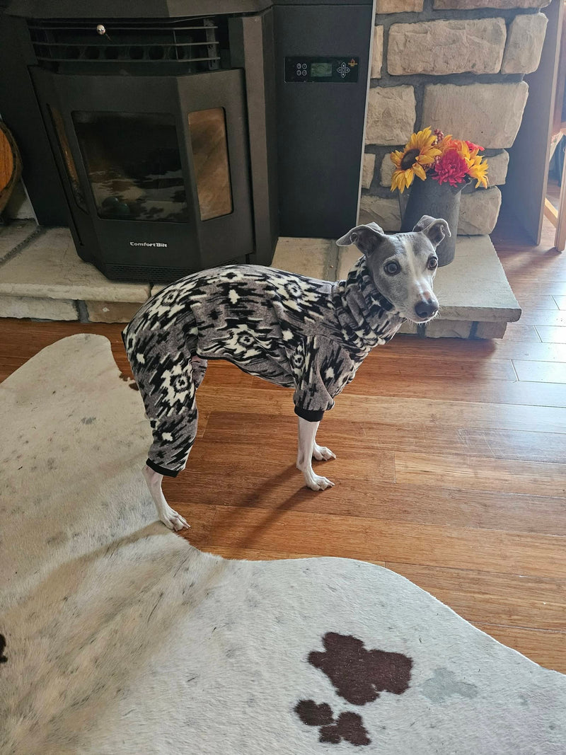 Milo in a Little Milo's Closet outfit