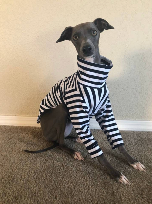Ready to Ship Italian Greyhound Tops, Cotton Knit Striped Long Sleeved Tops