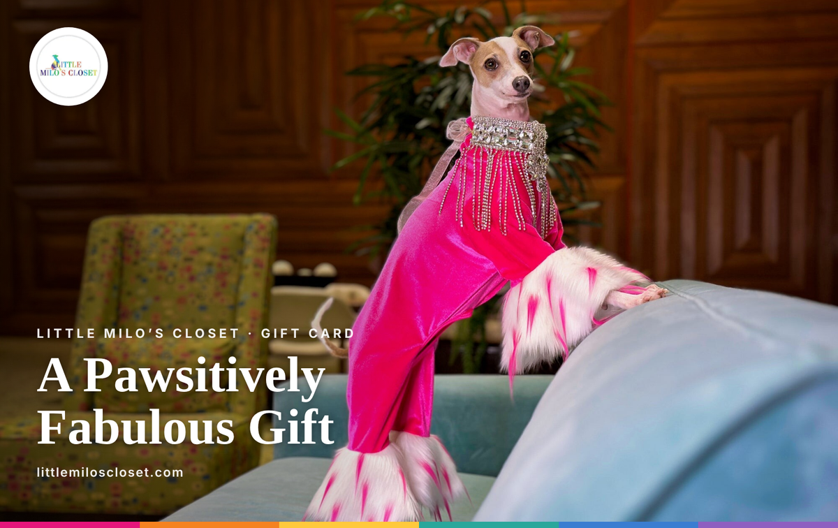 Little Milos Closet Digital Gift card