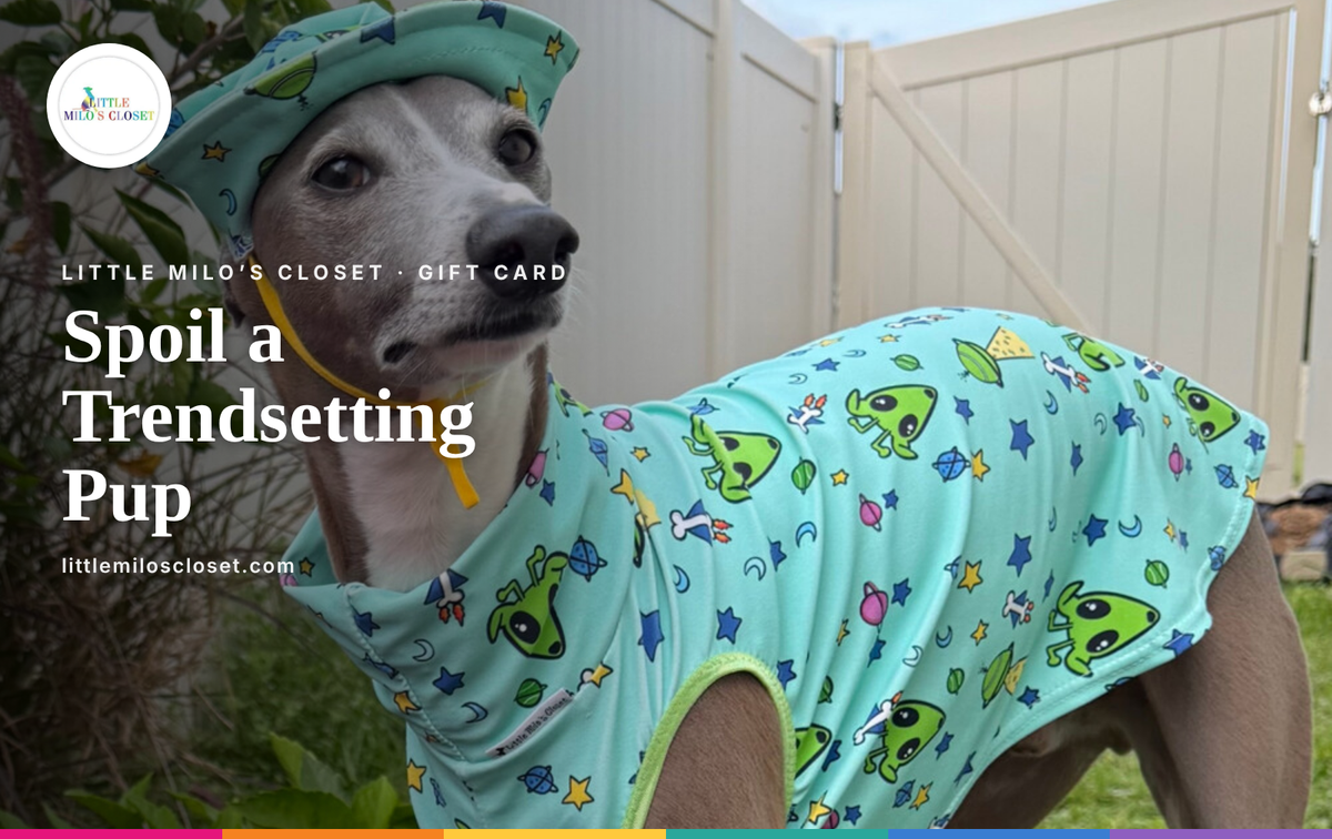 Little Milos Closet Digital Gift card