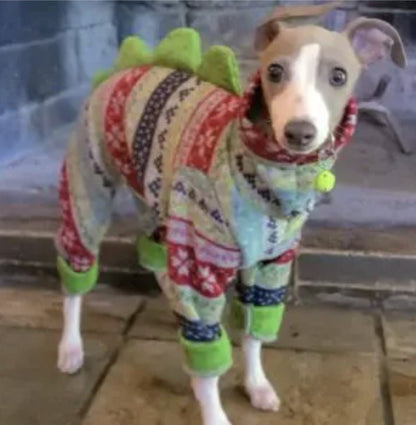 Custom Dinosaur Iggy Sweater 4 Legged Bodysuits - Little Milo's Closet