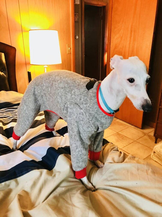 White Italian Greyhound standing on a bed in grey fleece snow pants with red cuffs and red and blue neck trim
