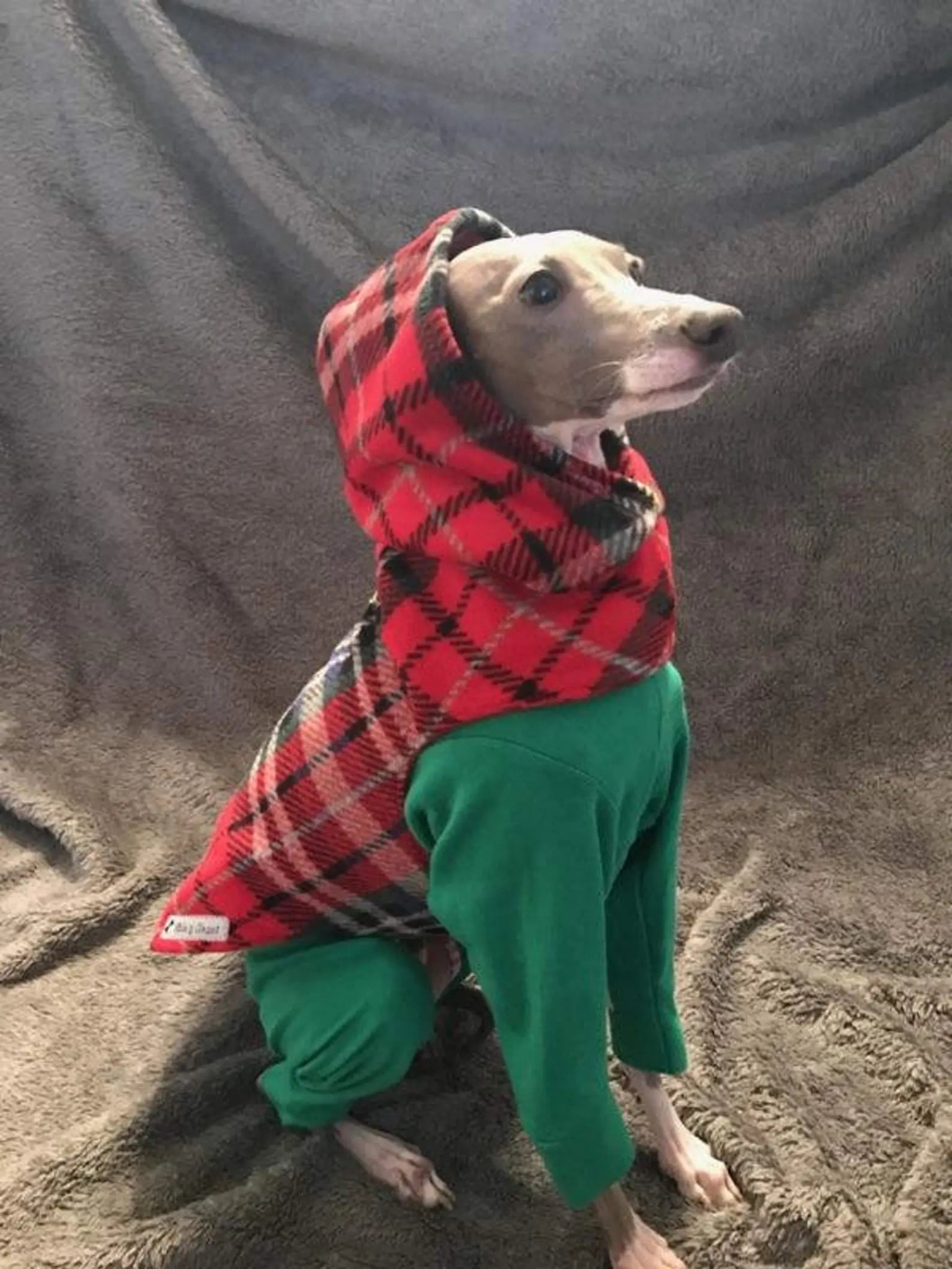 Custom Italian Greyhound Quick Wrap Hooded Fleece Vest Coat - Little Milo's Closet