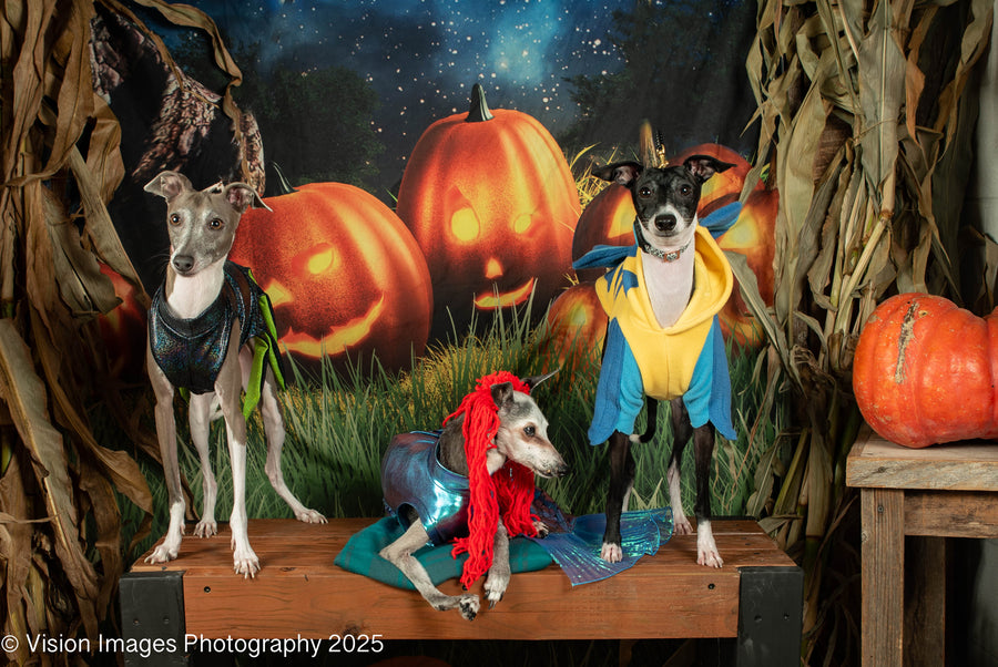 Buca, Juju, DeeDee