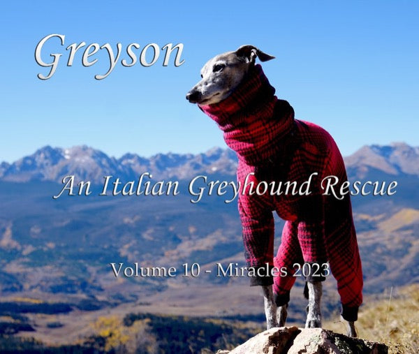 Cover of Greyson An Italian Greyhound Rescue, Volume 10, Miracles 2023: Greyson in a red plaid turtleneck bodysuit on a mountain peak