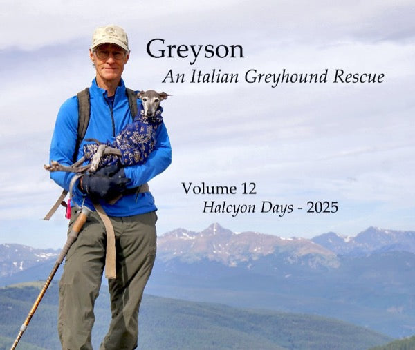 Cover of Greyson An Italian Greyhound Rescue, Volume 12, Halcyon Days 2025: William Pelander carrying Greyson in a blue print bodysuit on a mountain trail