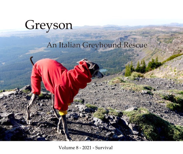 Cover of Greyson An Italian Greyhound Rescue, Volume 8, 2021 Survival: Greyson in a red fleece bodysuit on a rocky Colorado ridge