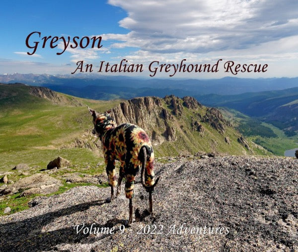 Cover of Greyson An Italian Greyhound Rescue, Volume 9, 2022 Adventures: Greyson in a patterned bodysuit on a mountain summit