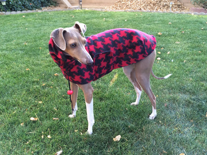 Custom Iggy, Whippet, Greyhound Blanket Style Fleece Walking Coat