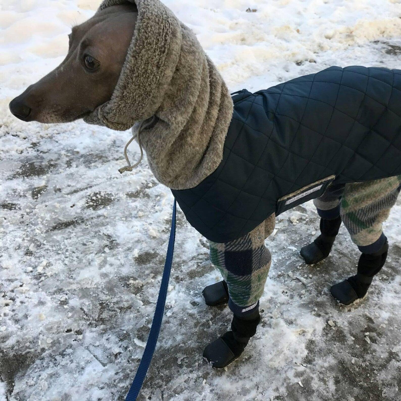 Custom Iggy Fleece & Nylon Quilted Winter Coat With Attached Snood - Little Milo's Closet