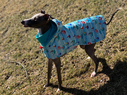 Custom Italian Greyhound Blanket Style Raincoat