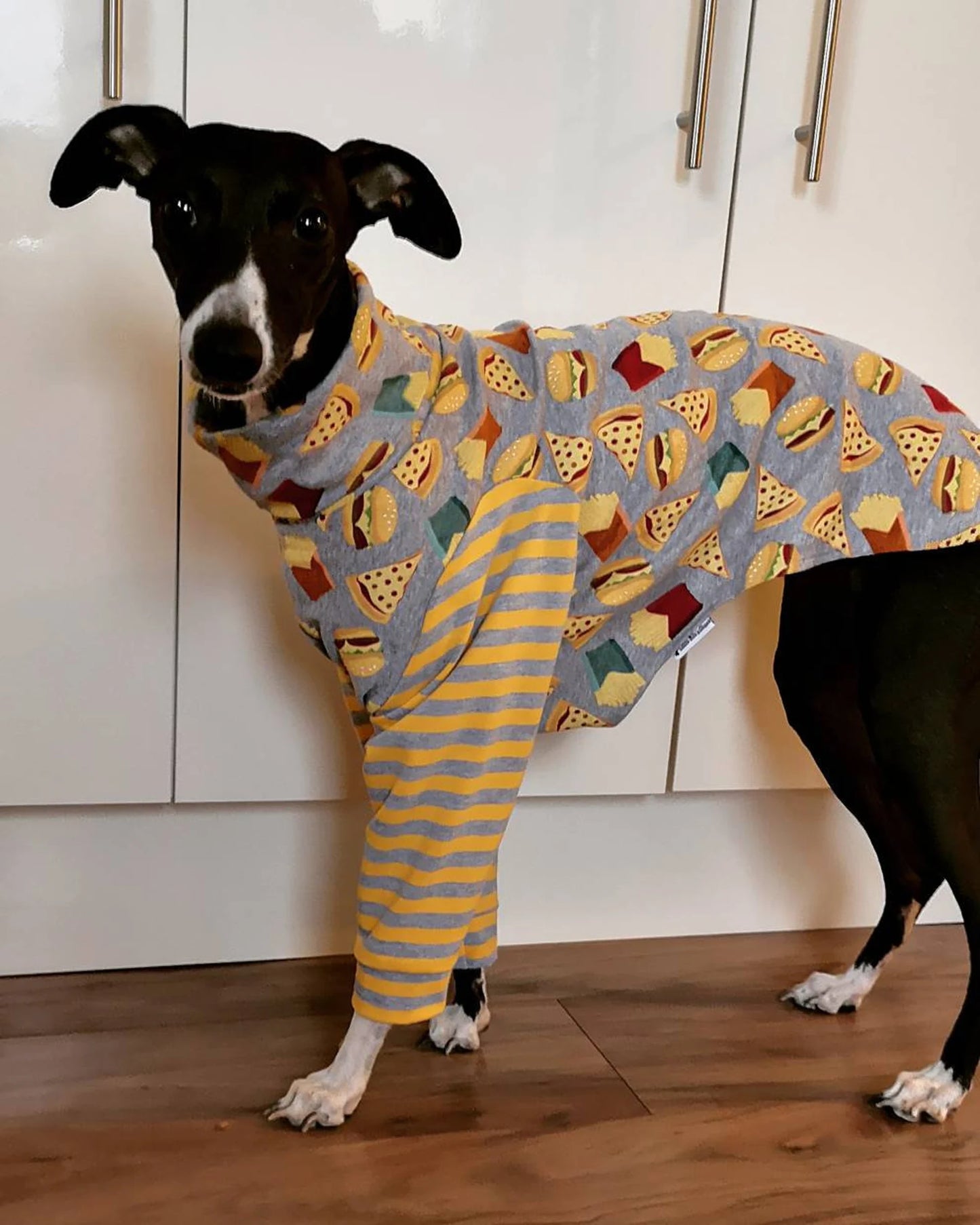 Custom Greyhound or Whippet 2 Legged Tops/Jumper - Little Milo's Closet