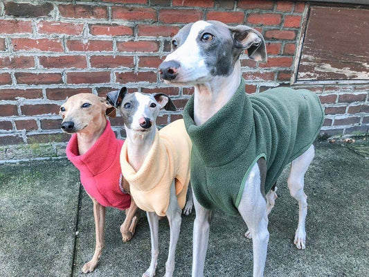 Custom Italian Greyhound Sleeveless Fleece Vests