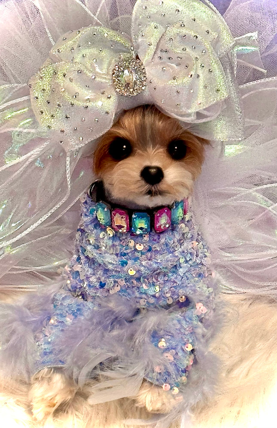 Nala