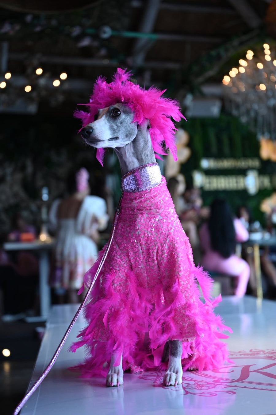 Diana the Diva