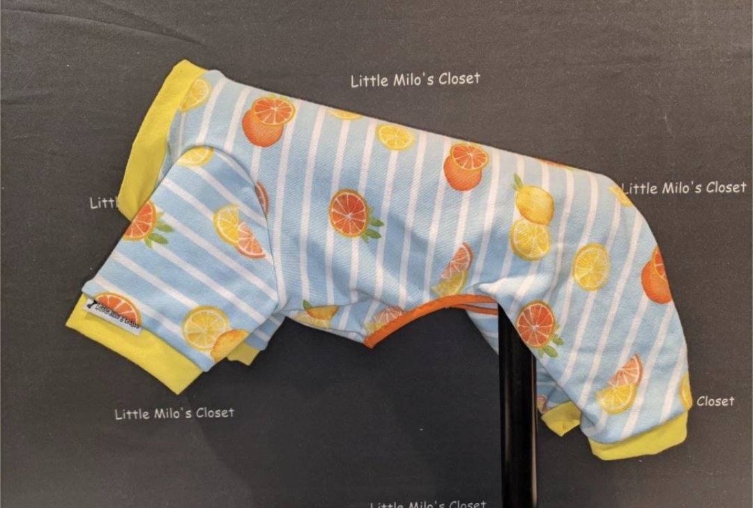 Citrus Stripe capri bodysuit, light blue stripes with oranges and lemons and yellow cuffs