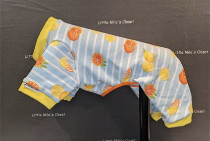 Citrus Stripe capri bodysuit, light blue stripes with oranges and lemons and yellow cuffs