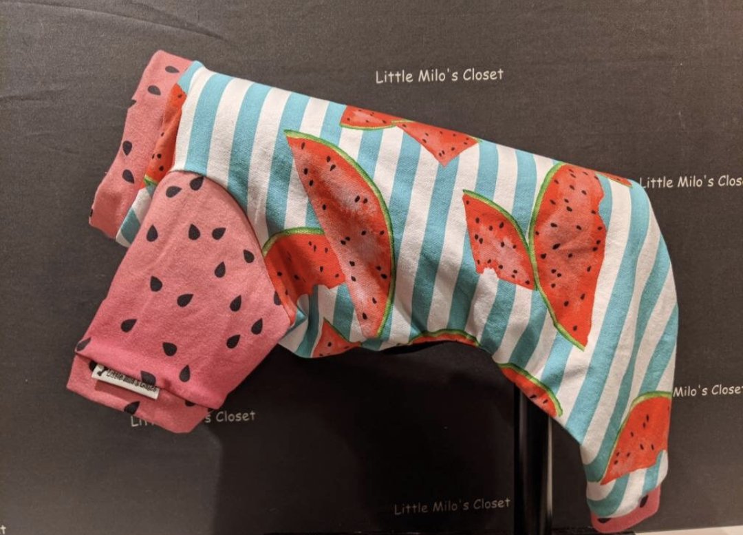 Watermelon capri bodysuit with watermelon slices on aqua and white stripes and pink sleeves