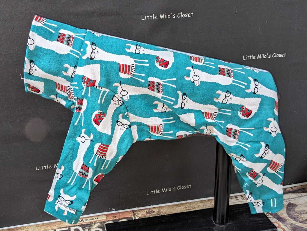 Teal Italian Greyhound Christmas bodysuit with white llamas in glasses and red sweaters, side view on a form