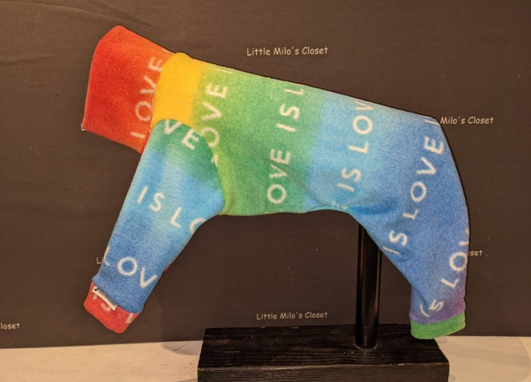 Rainbow Love is Love text print plush fleece bodysuit for an extra small Italian Greyhound, side view on a form