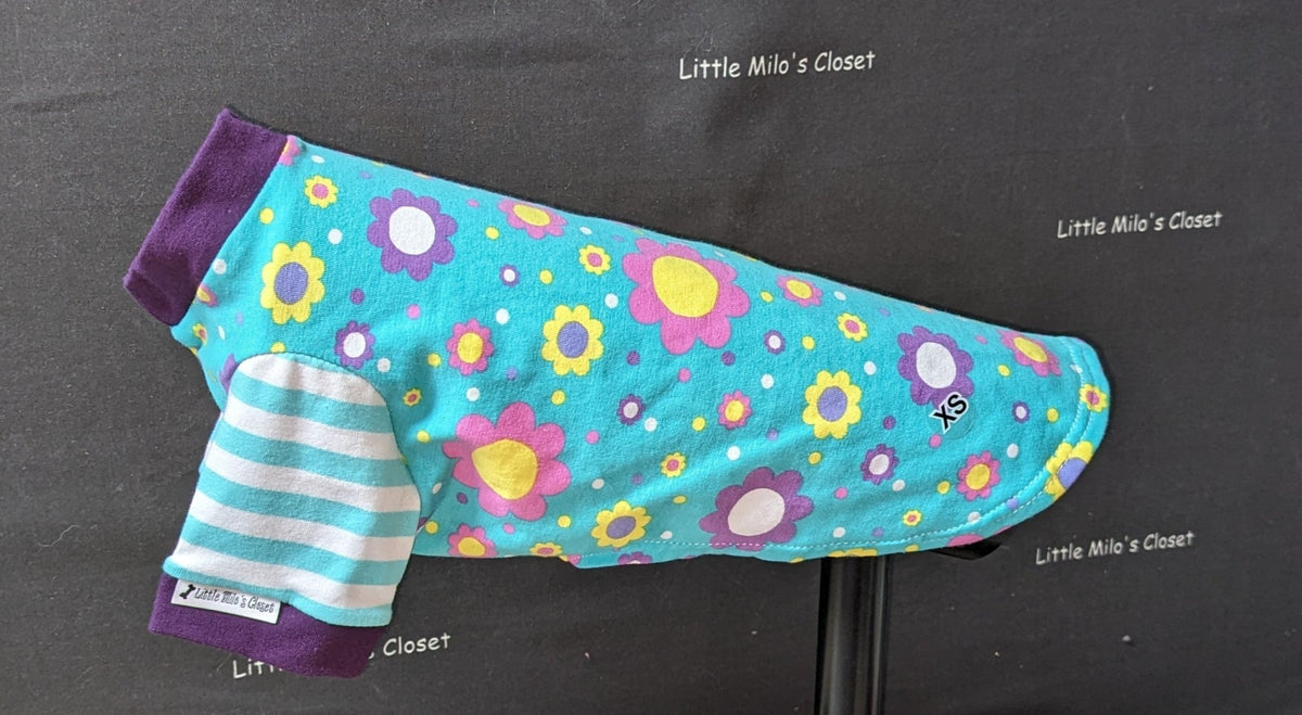 Teal and Bright Floral short sleeve Italian Greyhound top with striped sleeves and a purple collar