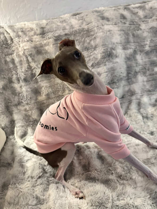 Zoomies sweatshirts