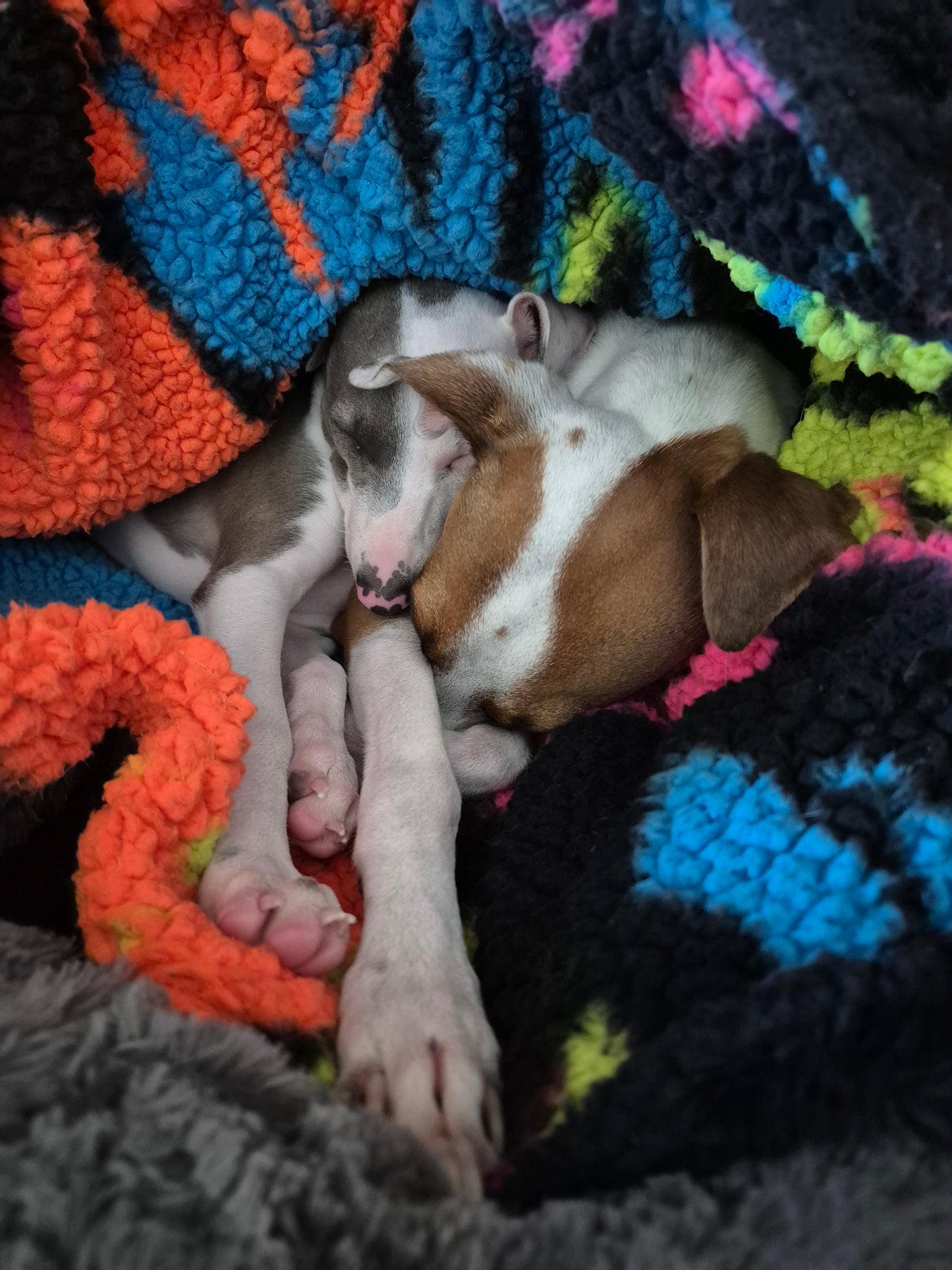 Custom Sherpa Pup Nap Sacs, Burrowing Sacs, Sleep Sacs